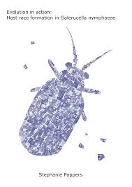 Attēlu rezultāti vaicājumam “Galerucella nymphaeae pupa”