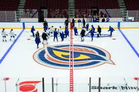 Image result for Fleet Hockey Club