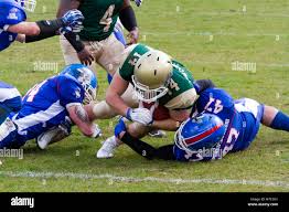 Image result for Sussex Thunder