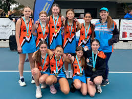 Image result for Camelot Netball Club