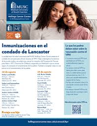 Image result for Deben Sc