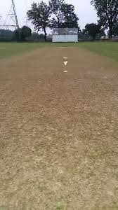Image result for Byfleet Cricket Club