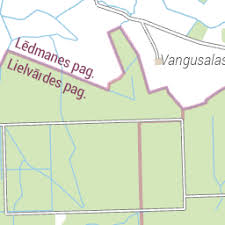 Attēlu rezultāti vaicājumam “Licea testudinacea sessile”