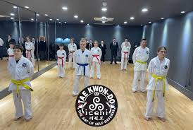 Image result for Witney Taekwondo