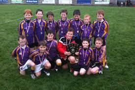 Image result for Carryduff Gaelic Athletic Club