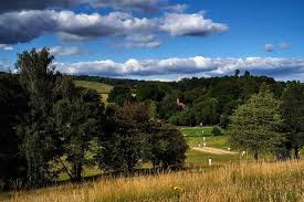 Image result for Abinger Sports Club