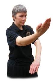 Image result for Norwich Autodefence Wing Tchun