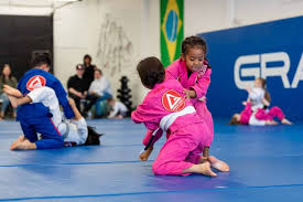 Image result for Brazilian-martial arts