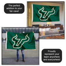 Image result for Kirkcaldy Bulls Flag football Club