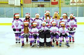 Image result for Gregarians Ladies Hockey Club