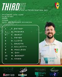 Image result for Shepherds Bush Cricket Club