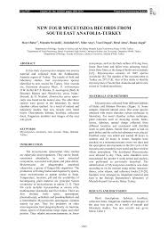 Attēlu rezultāti vaicājumam “Didymium tussilaginis sessile”