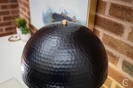 Attēlu rezultāti vaicājumam “Lamproderma debile”