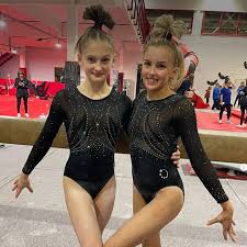 Image result for City Of Newcastle Gymnastics Academy