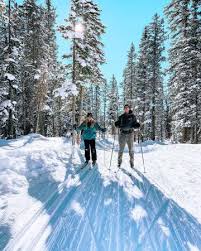 Image result for Scandinavian slope and cross country skiing
