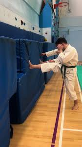 Image result for Hachidori ju-jitsu Martial Arts