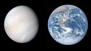 Image result for venus