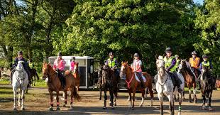 Image result for Ayr Riding Club