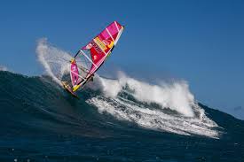Image result for Aloha Sailboards