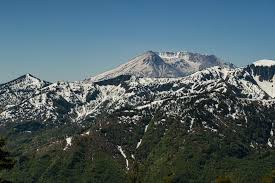 Image result for St Helens Miners