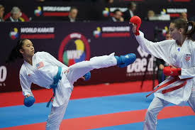 Image result for United Sport Karate