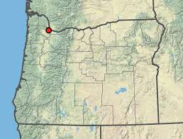 Attēlu rezultāti vaicājumam “Chenopodium polyspermum var. acutifolium”