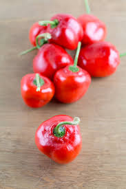 Afbeeldingsresultaat voor red rocoto hot pepper