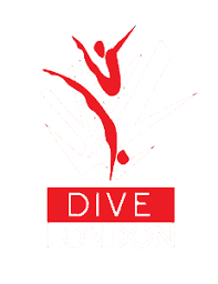 Image result for Dive Solutions, London