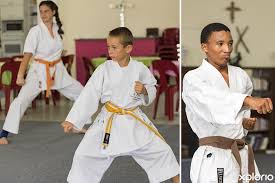 Image result for GoJu-Kai Karate Club