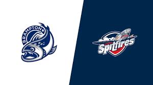 Image result for Hampshire Spitfires Finswimming Club