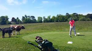 Image result for Minchinhampton Golf Club