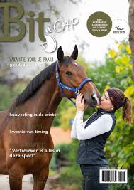 Afbeeldingsresultaat voor paarden