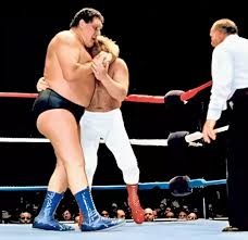 Image result for Bodyslam Wrestling School