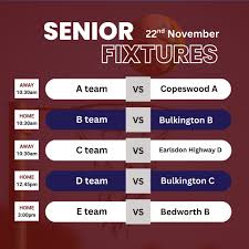 Image result for Hn Ladies Netball Club