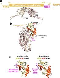 Image result for HTRPC