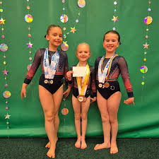 Image result for Haverfordwest Gymnastics Club