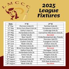 Image result for Llantwit Major Cavaliers Cricket Club
