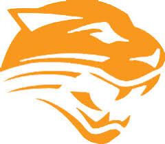 Afbeeldingsresultaat voor panters