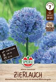 Image result for Zierlauch