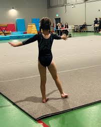 Image result for Wyre Forest School Of Gymnastics