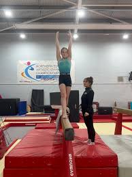 Image result for Hinckley Gymnastics Club