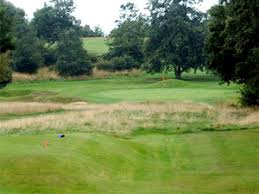 Image result for Guildford Gold Club