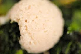 Attēlu rezultāti vaicājumam “Physarum obscurum”