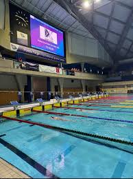 Image result for Derventio Excel Swimming Club