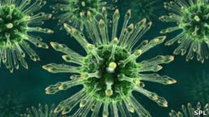 Image result for фотография вируса вич