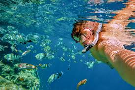 Image result for Ruislip Snorkelling Club