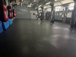 Image result for Maidenhead Karate Club