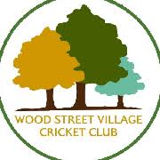 Image result for Shottermill Cricket Club