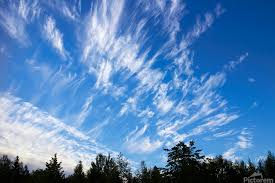 Attēlu rezultāti vaicājumam “Cirrus fibratus”