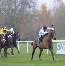 Image result for Elite Racing Club